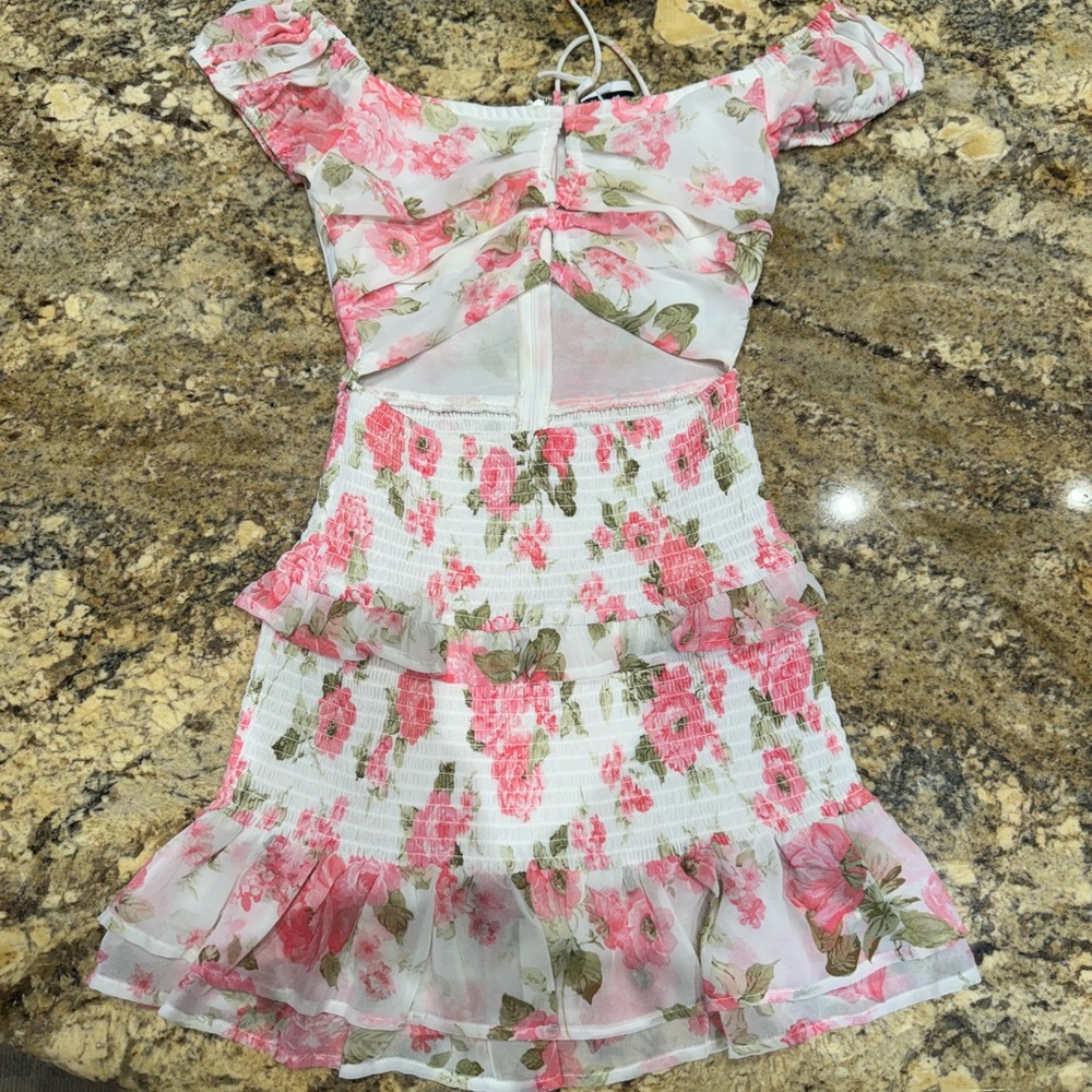 Isabelles cabinet dress